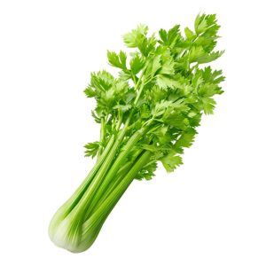 Organic Celery